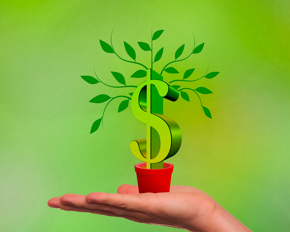 Más sobre Crédito directo, ¿qué es y cuáles son sus ventajas?