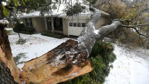 imagen de ¿Cómo funcionan los Seguros de Hogar en USA?