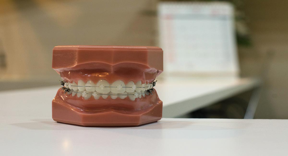 Seguros Dentales en U.S.A.