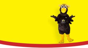 imagen de ¿Qué es Fiesta Aseguranza?: Todo lo que necesitas saber