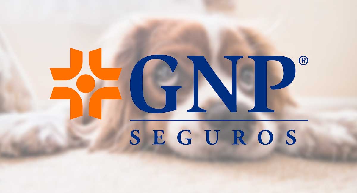 GNP-Seguros-para-Mascotas